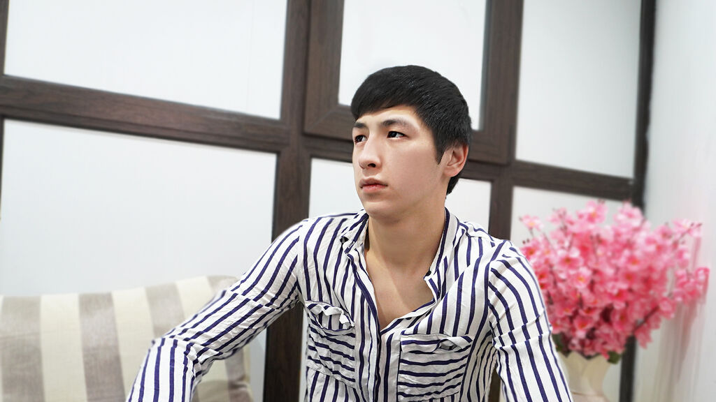 LeeDaves Profile and Statistics on BoysOfJasmin